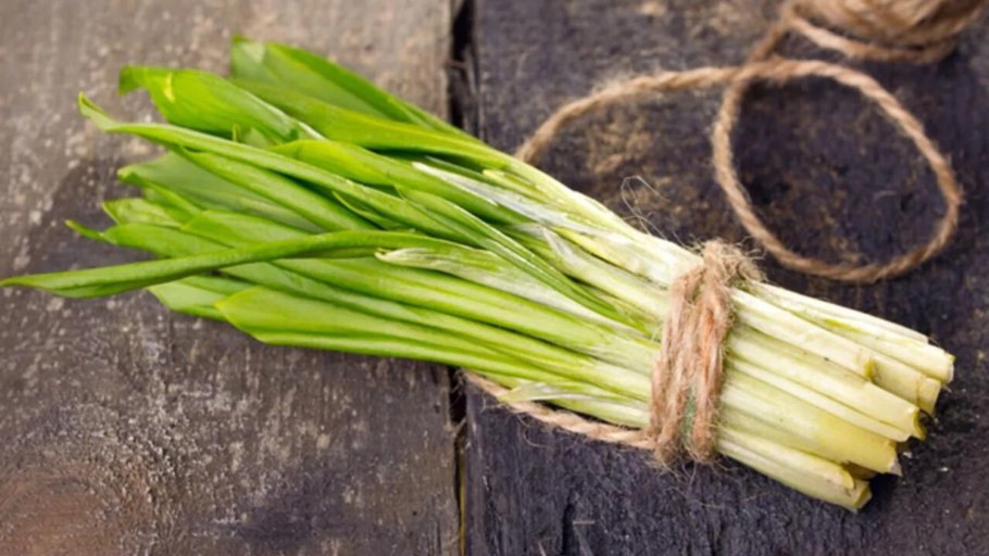 Лук Медвежий или черемша