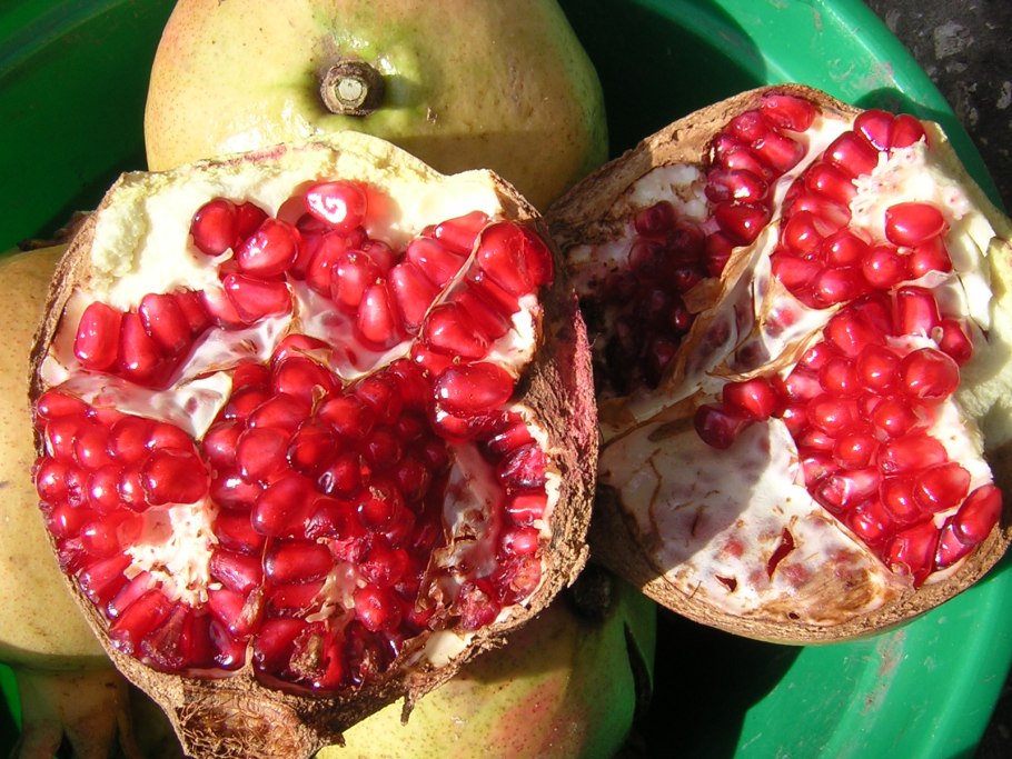 Гранат разрезанный