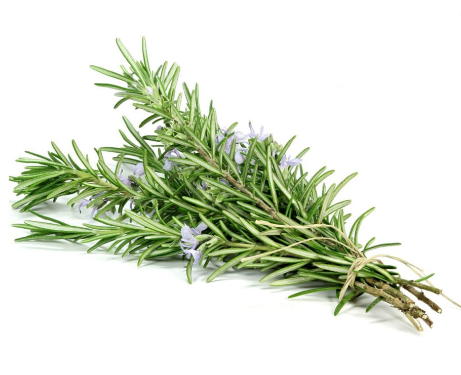 Розмарин эстрагон Любисток