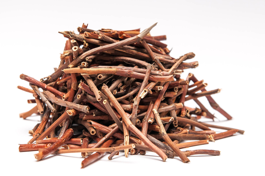 Сабельник болотный побег