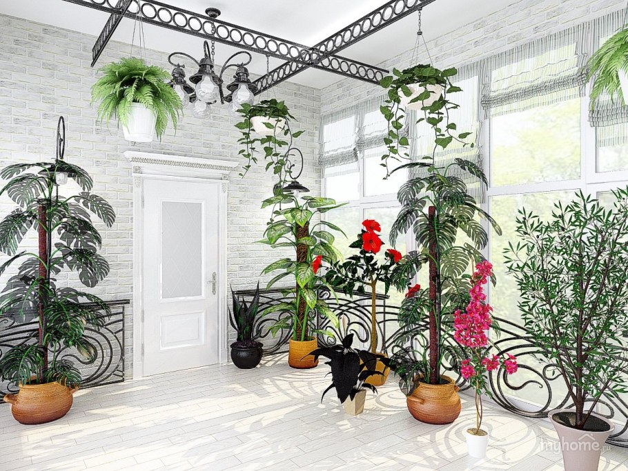 Лианы в оранжерее