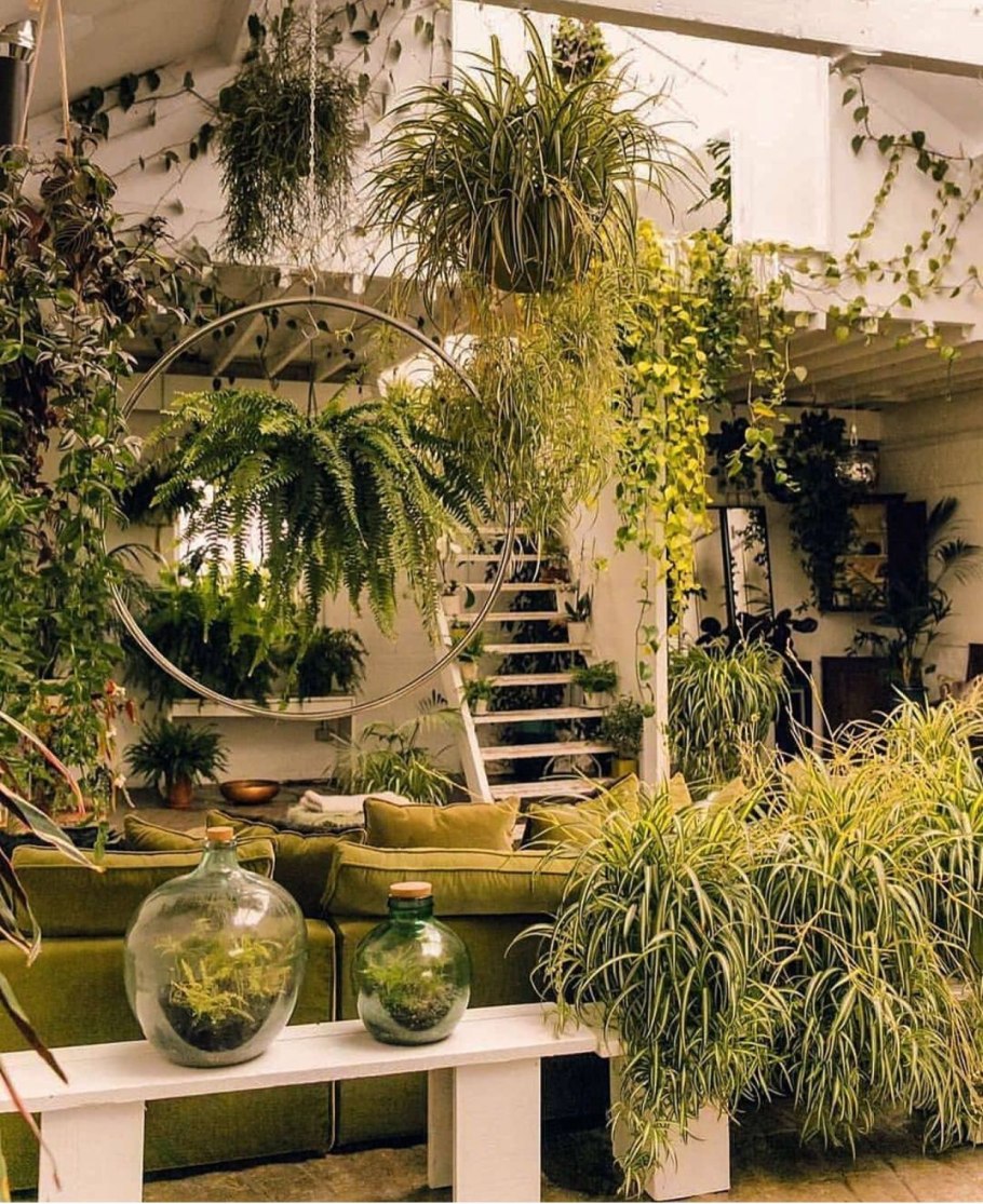 Зимний сад в комнате