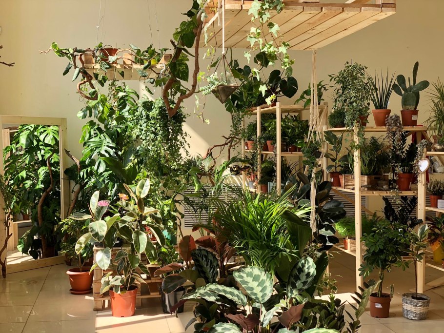 Оранжерея Гагарина Сургут