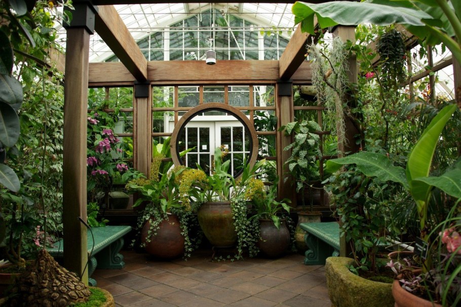 Цветочная оранжерея Анапа