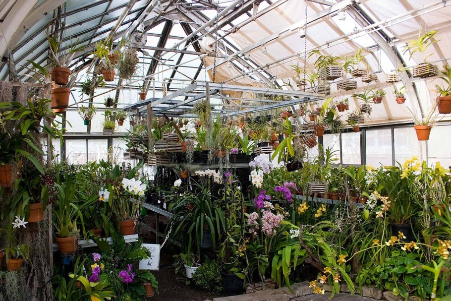 Томас к. "домашняя оранжерея"