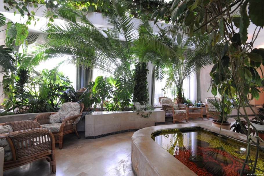 Кэри т. "домашняя оранжерея"