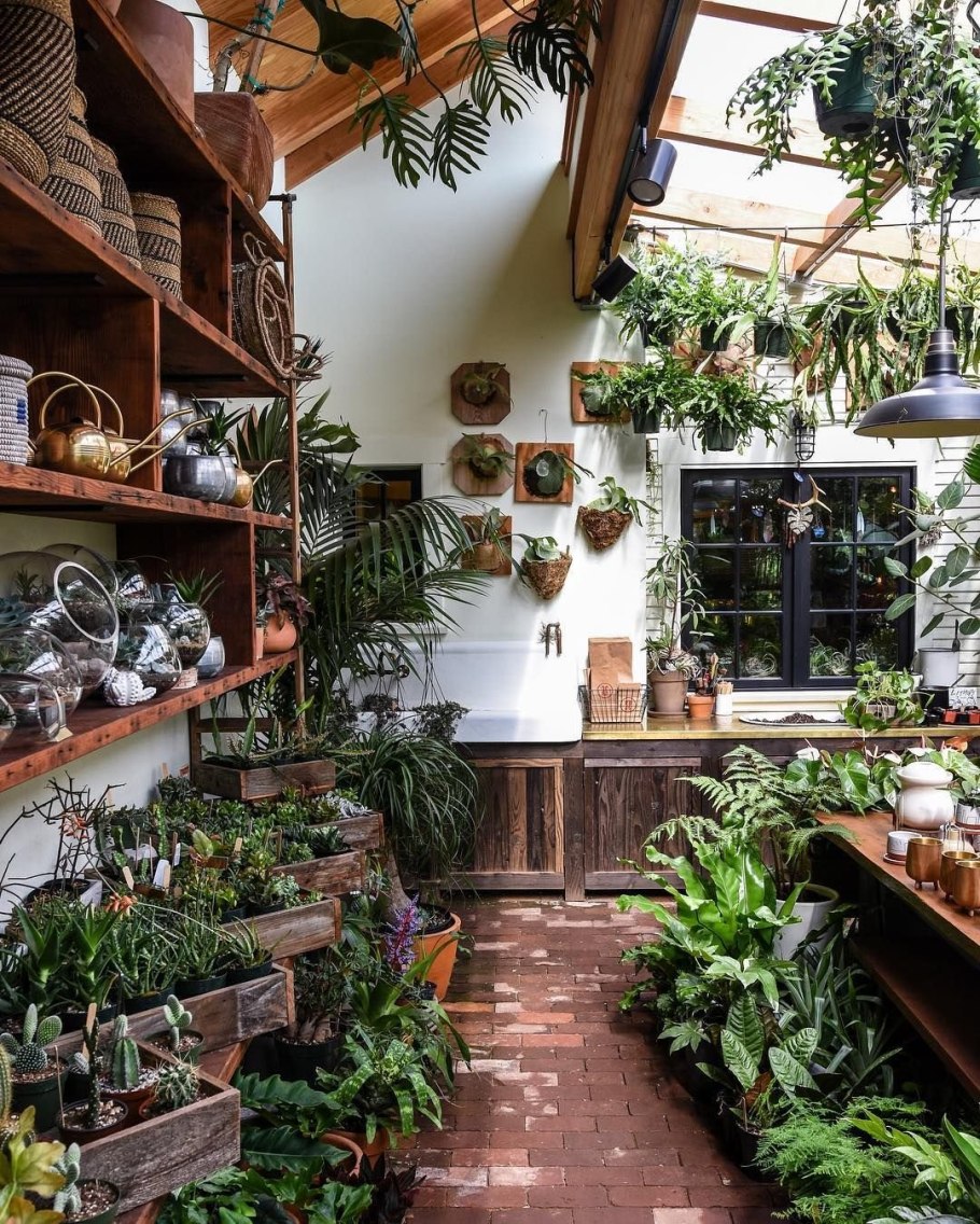 Цветочная оранжерея в доме