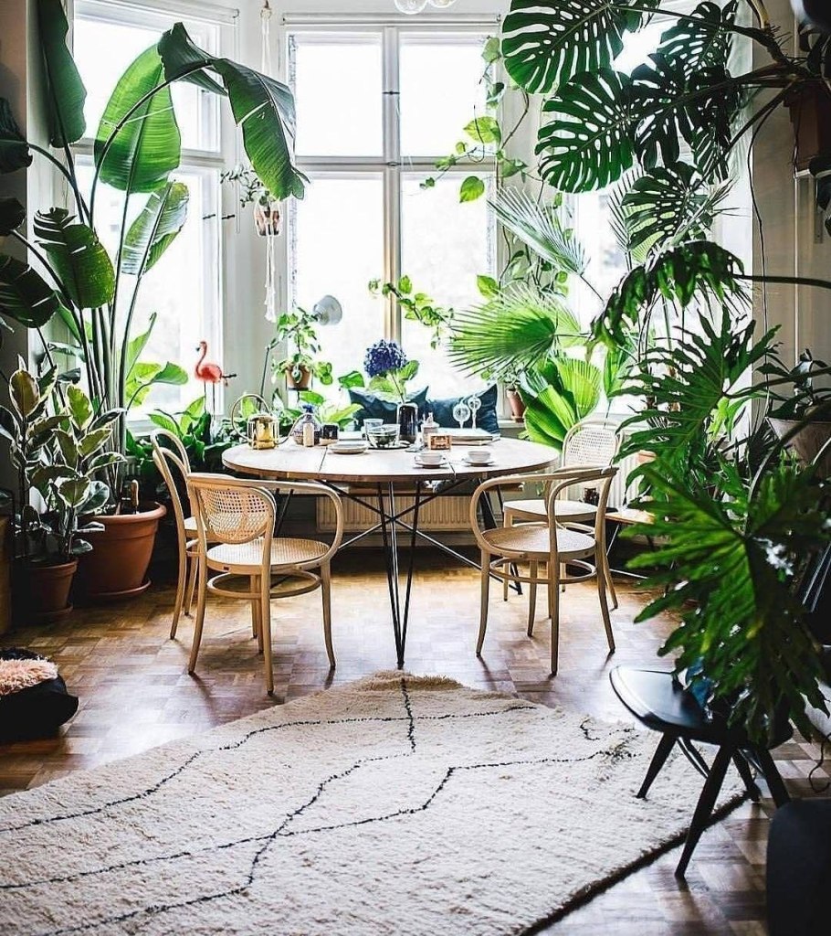 Зимний сад интерьер