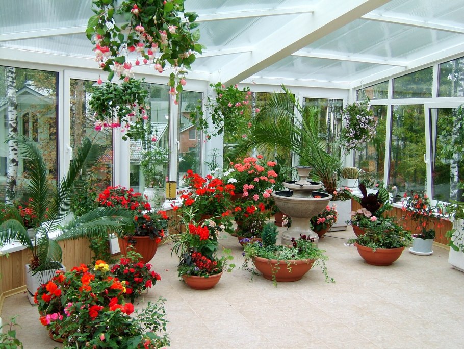 Кэри т. "домашняя оранжерея"