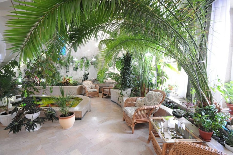 Зимний сад фитодизайн