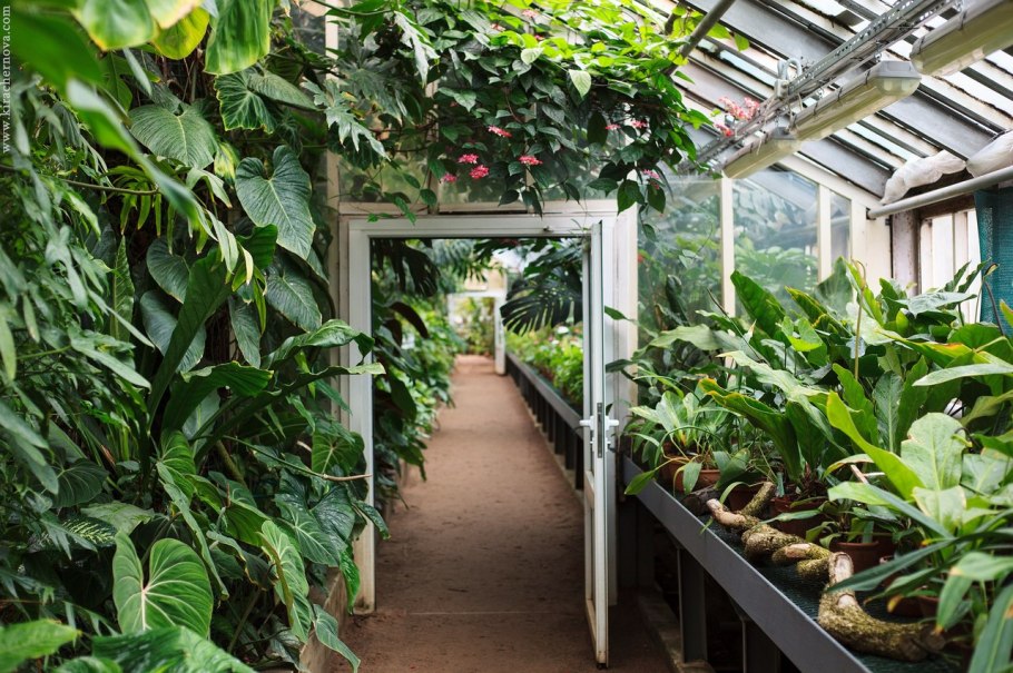 Оранжерея Екатеринбург