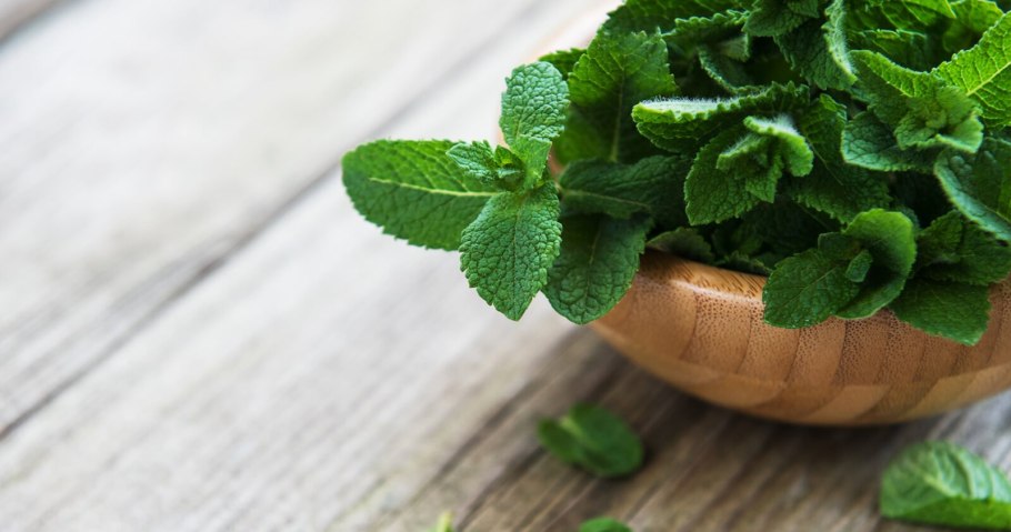 Мята перечная Méntha piperíta