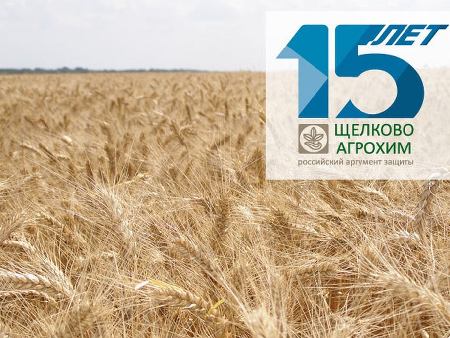 Весенний город России