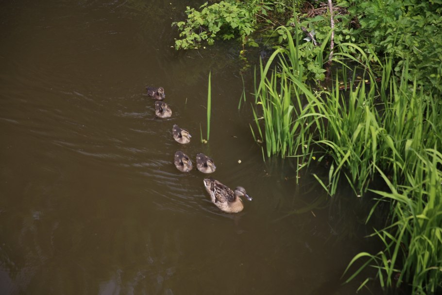 Щелковский Агрохим
