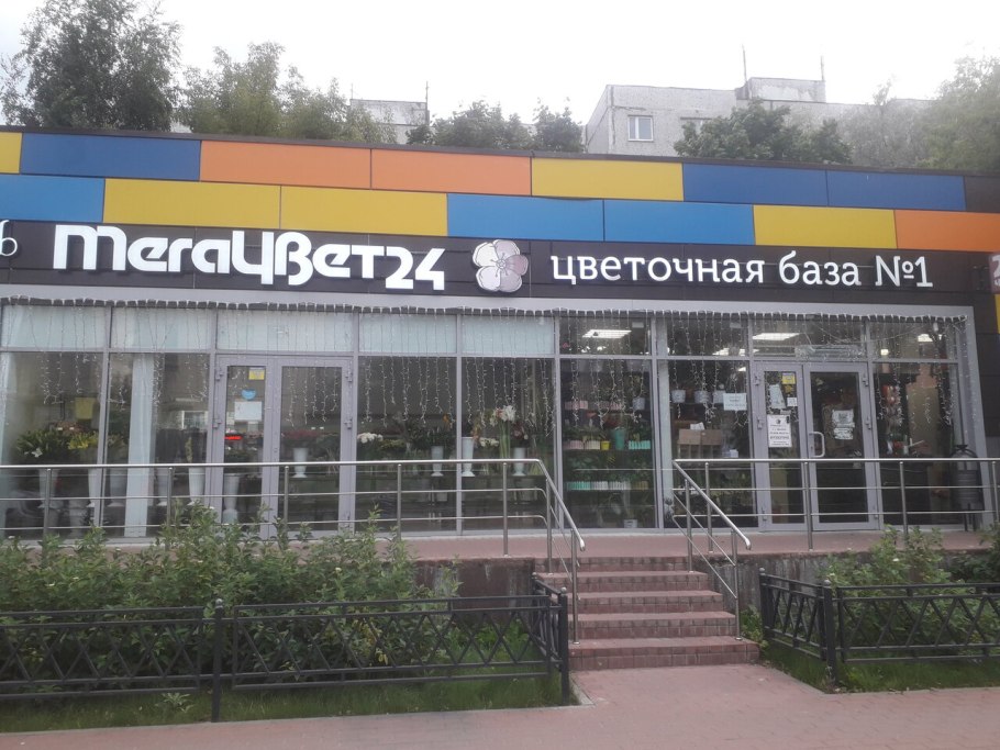 База цветов 24 Щелково