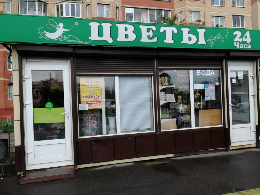 Растение кувшинка белая водяная Лилия