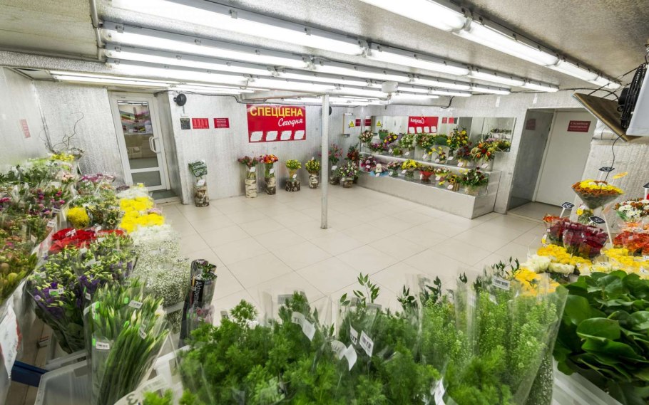 Щёлковский химический завод