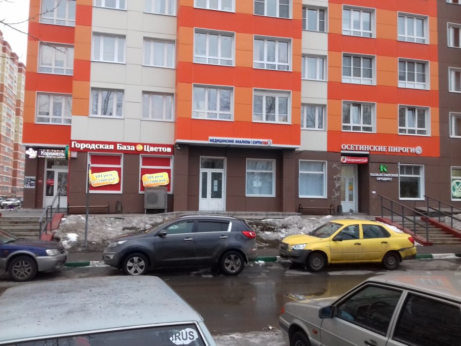 Кувшинка белая численность