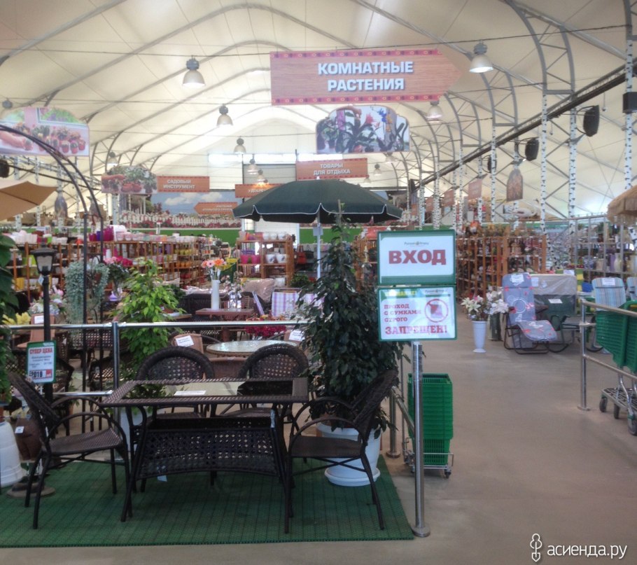 Не Дарите цветы на первое сентября