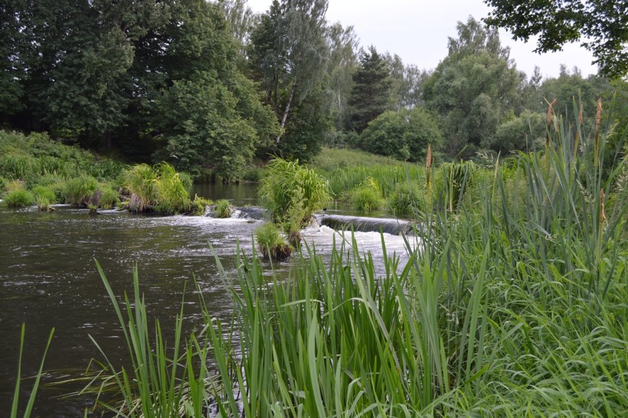 Радар-детектор Megaforcer z-11st