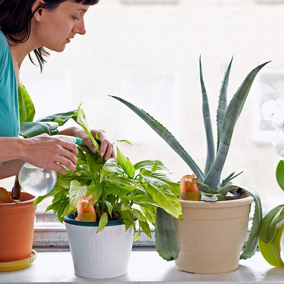 Цветочный магазин шелково