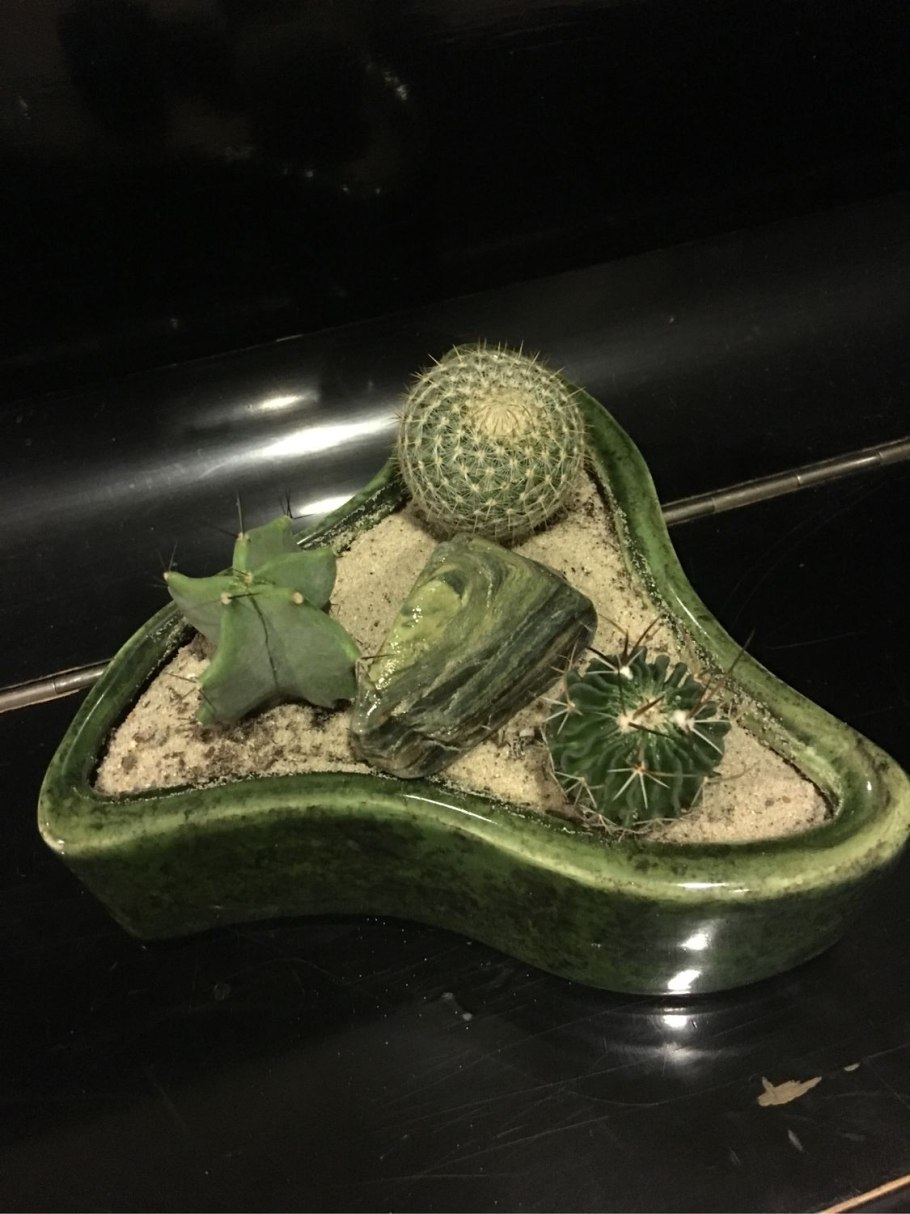 Необычные обои