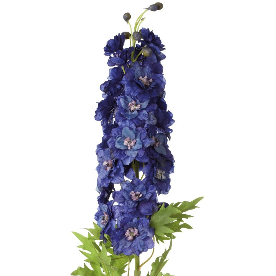 Дельфиниум морнинг Санрайз