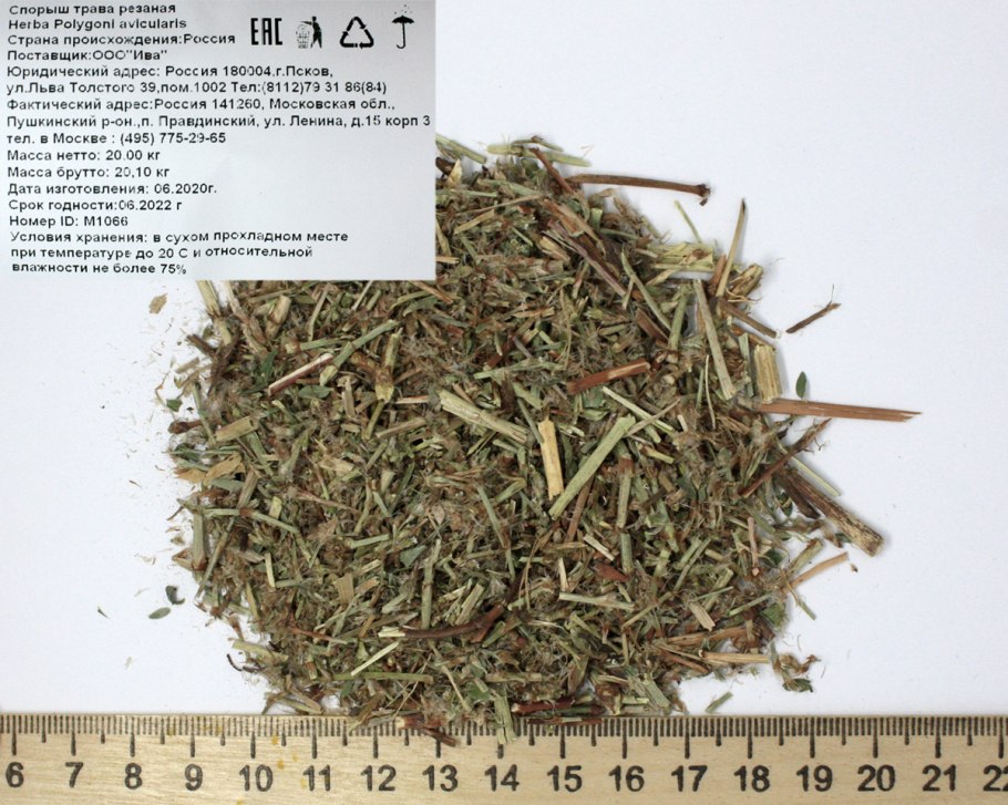 Горец птичий (Polygonum aviculare)