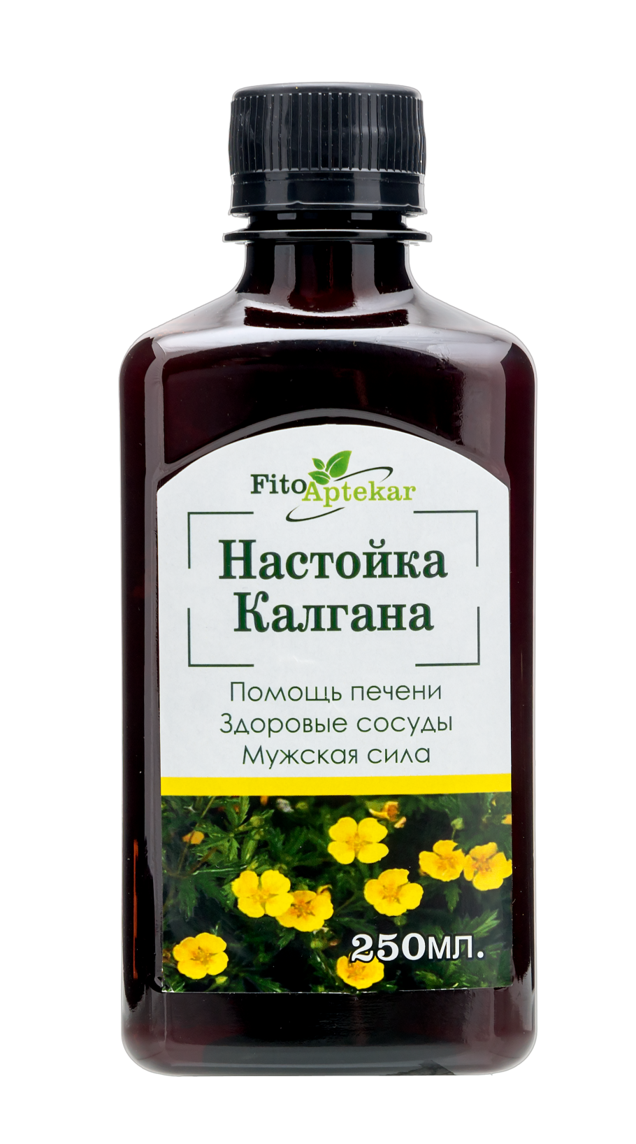 Корневище калгана