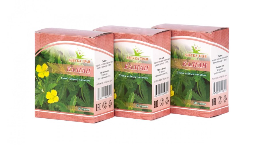 11. Лапчатка прямостоячая- Potentilla erecta (l.) Rausch.