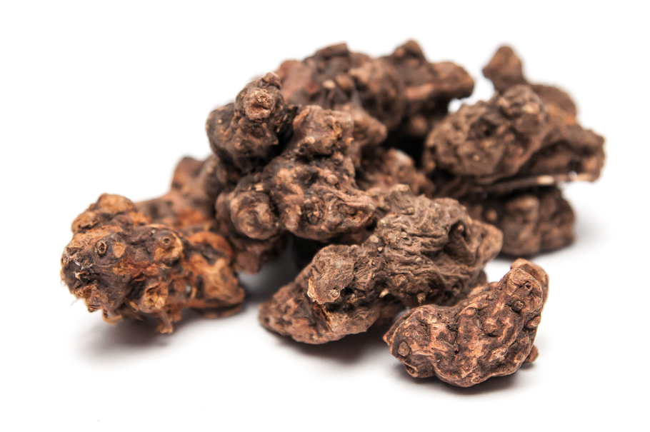 Калган корень время сбора