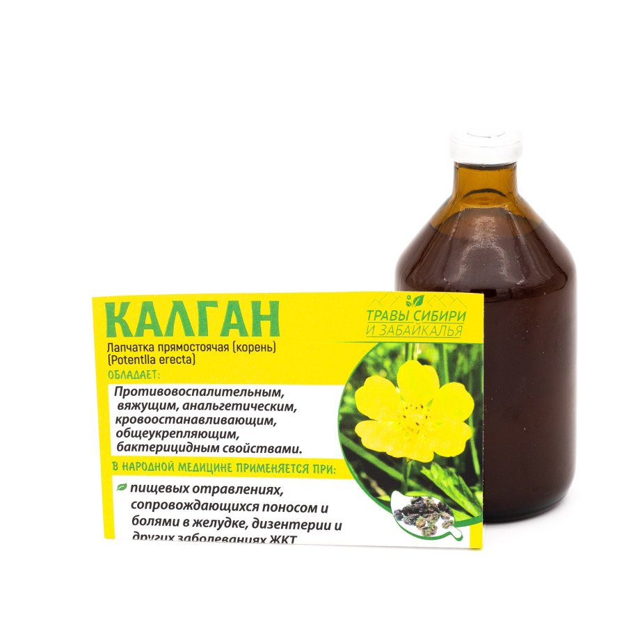 Лапчатка Дикая