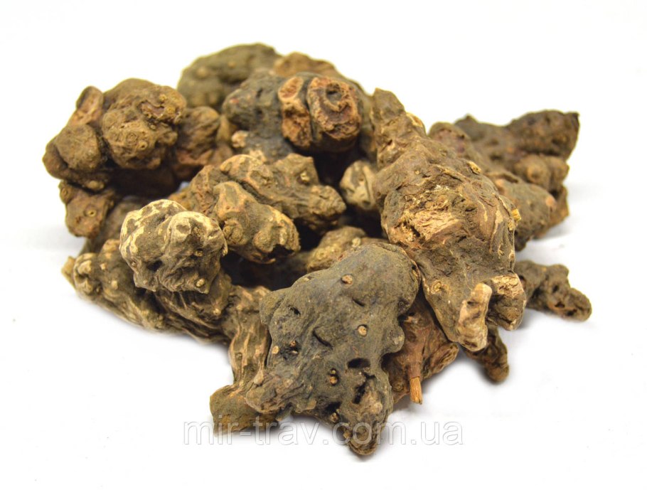 Лапчатка прямостоячая (калган) — Potentilla erecta Raeusch