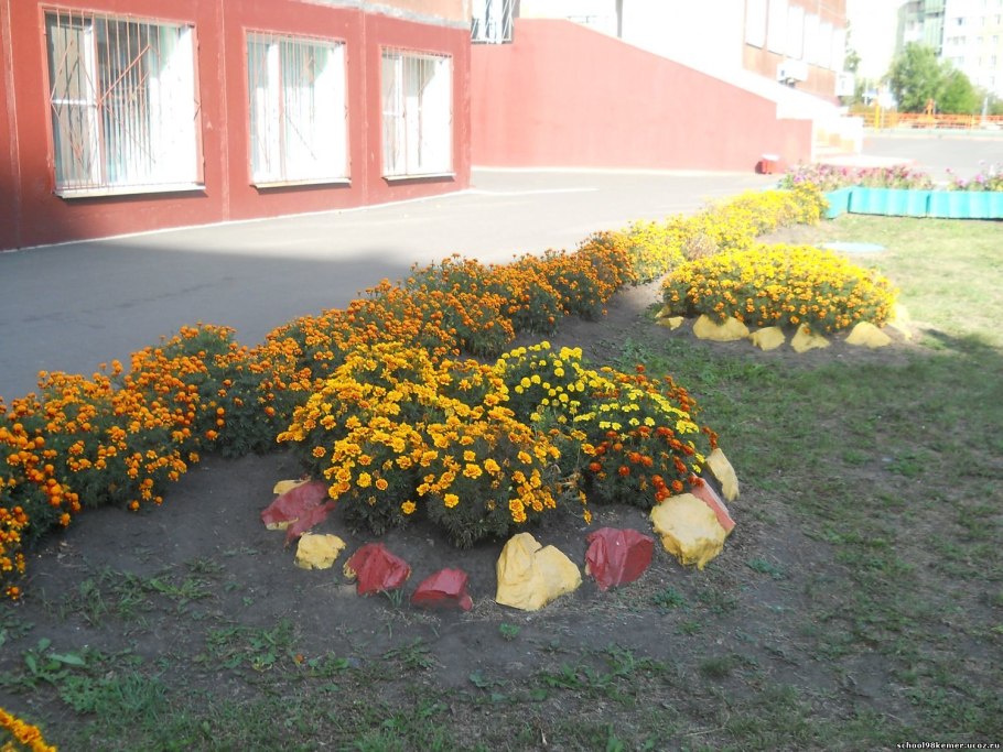 Цветочная клумба в школе