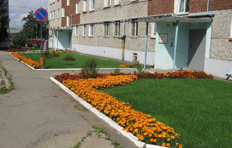 Клумбы возле подъезда