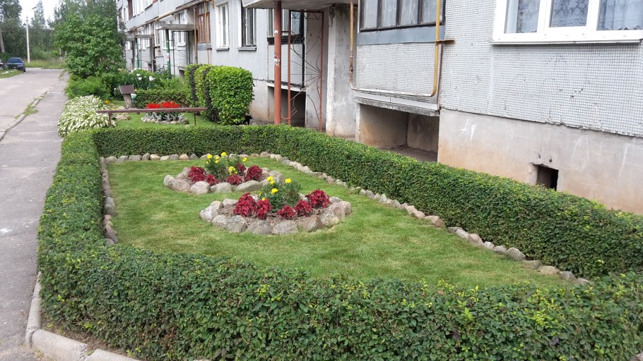 Живая изгородь палисадника