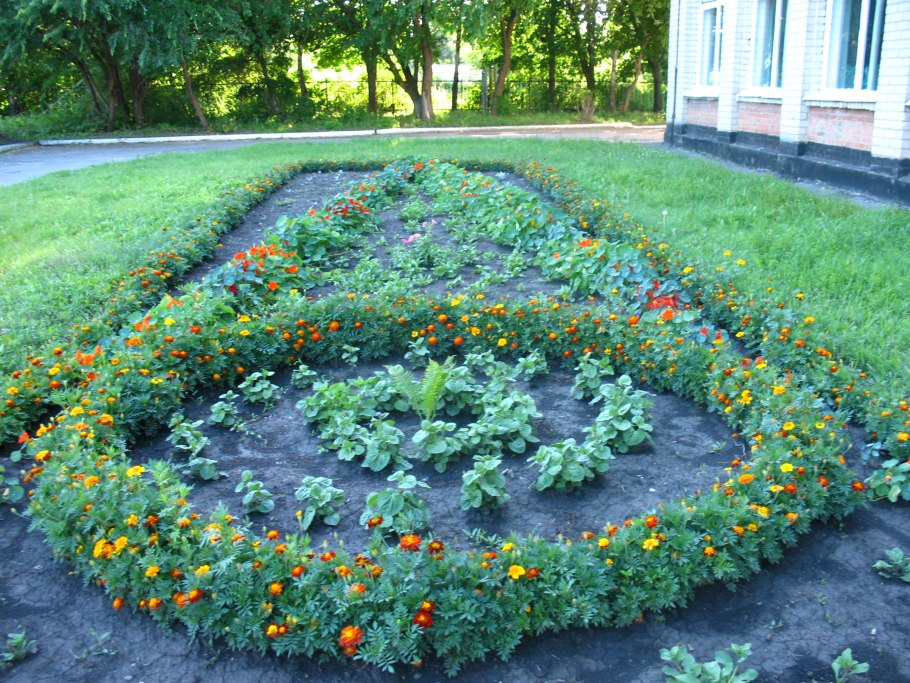 Клумбы на пришкольном участке