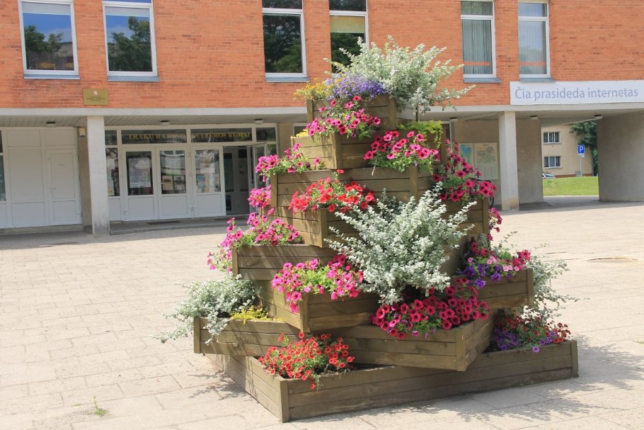 Клумбы на территории школы