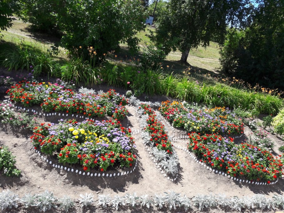 Пришкольные клумбы