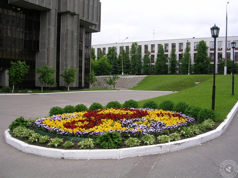 Цветник около школы