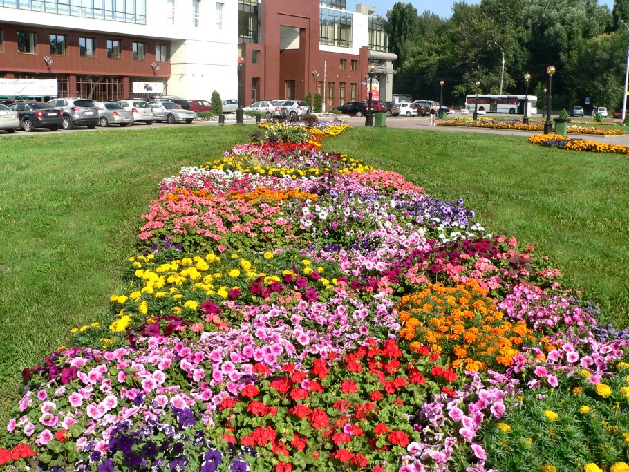 Зеленхоз Липецк