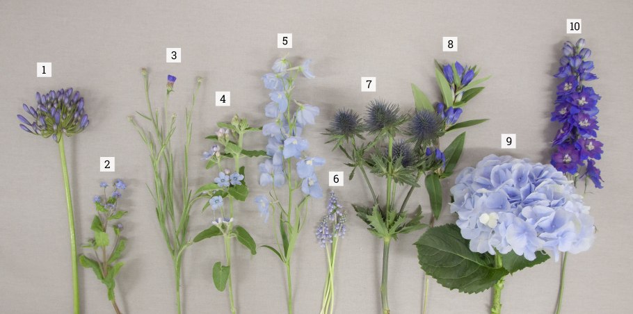 Дельфиниум Санни Скай