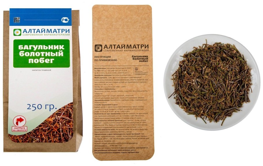 Багульник болотный