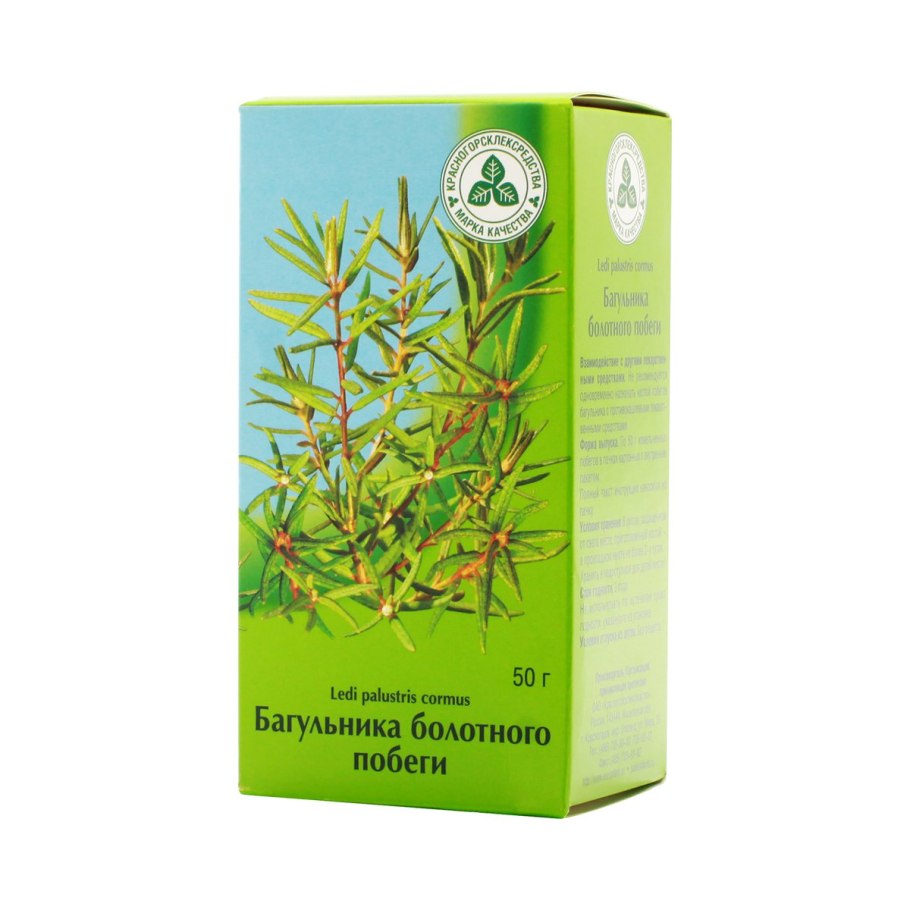 Побеги багульника болотного