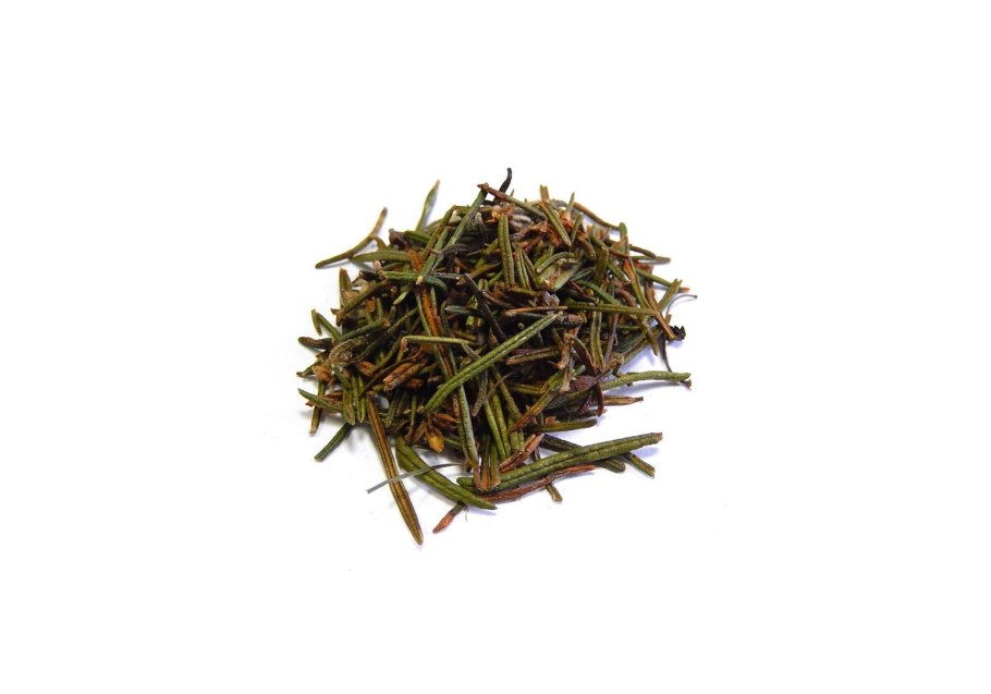 Багульник болотный