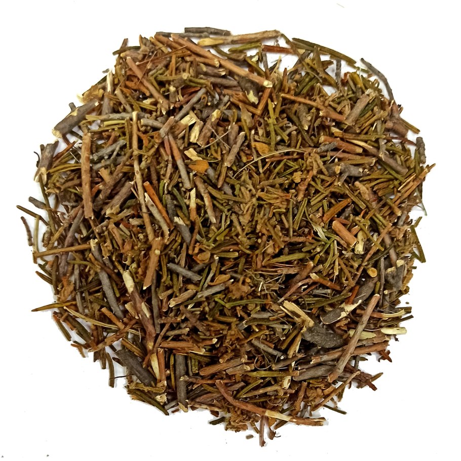 Багульник болотный трава