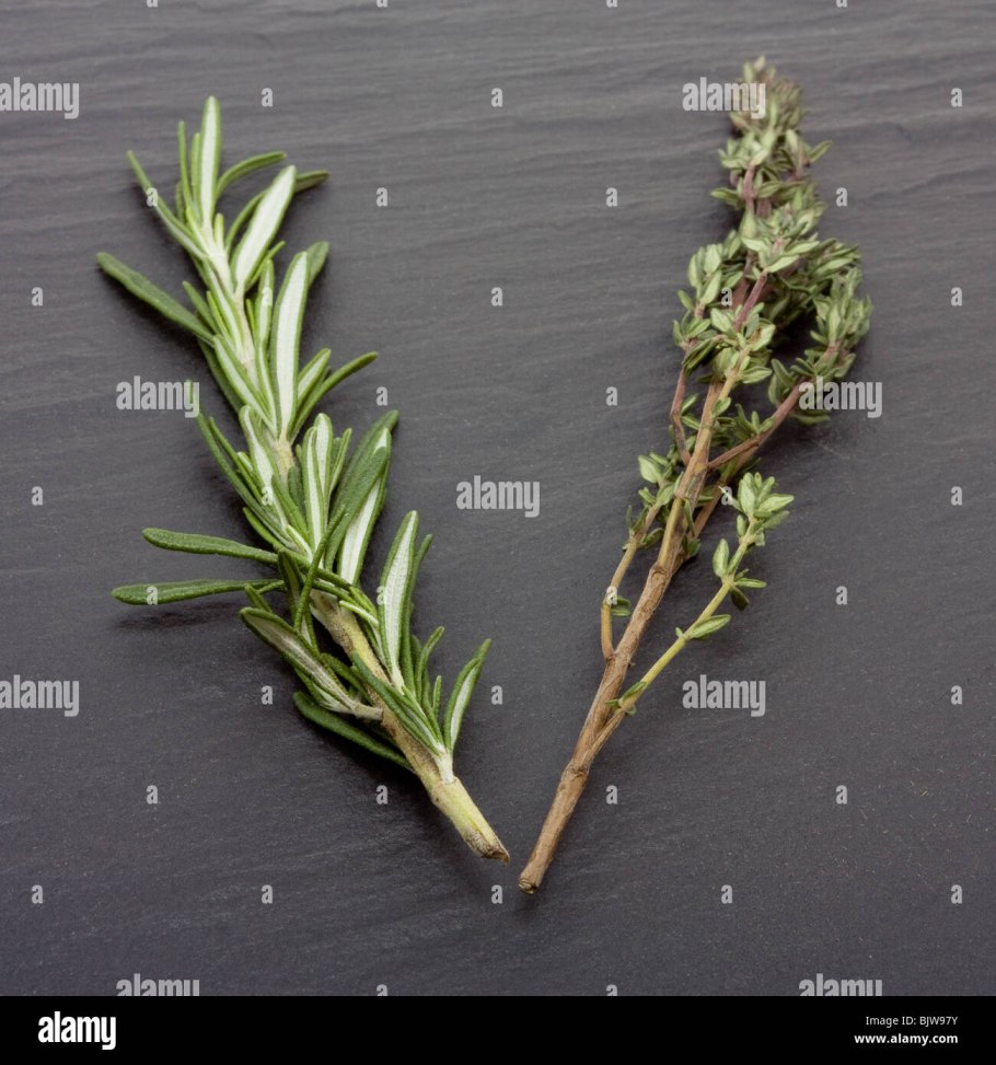 Пряные травы