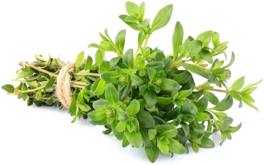 Базилик тимьян розмарин