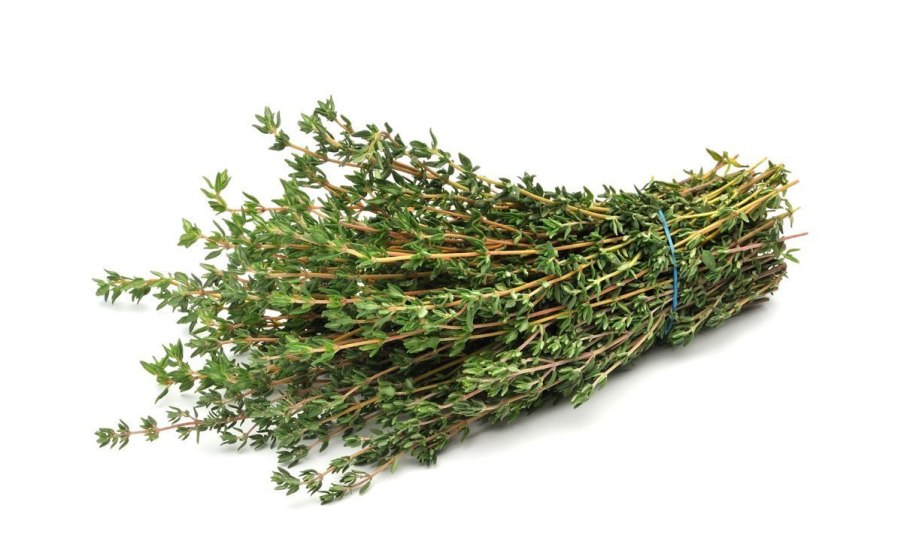 Чабрец лекарственный