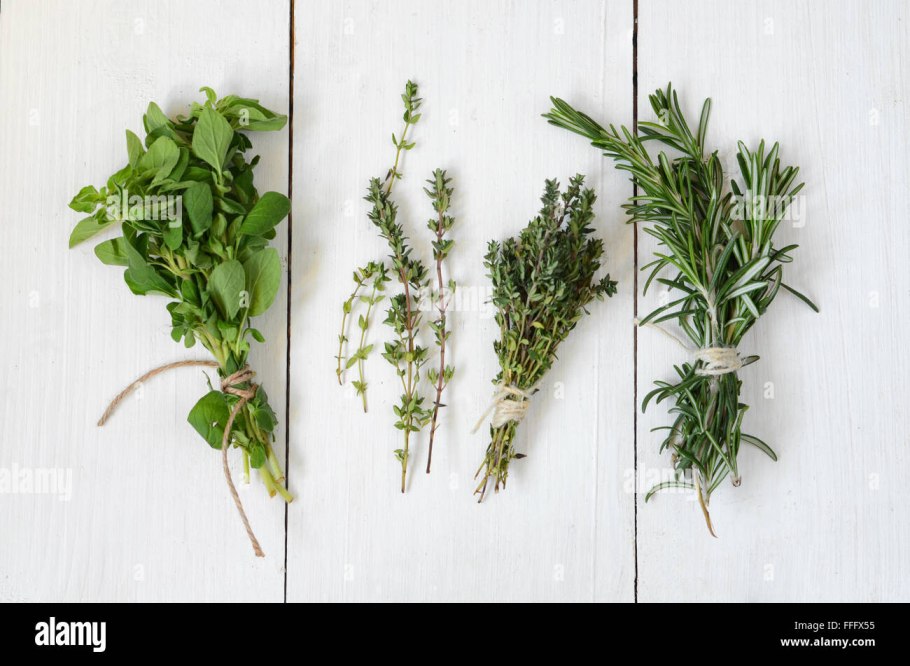 Ромашка тимьян мята в поле